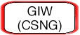 GIW (CSNG)