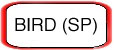 BIRD (SP)