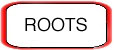 ROOTS